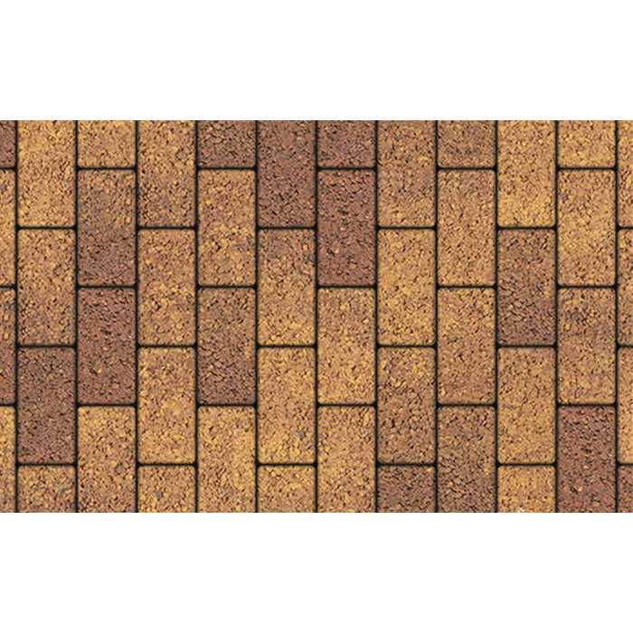 Плитка тротуарная Прямоугольник (Ла-Линия) Б.2.П.6 Листопад гранит Осень 200х100х60 мм